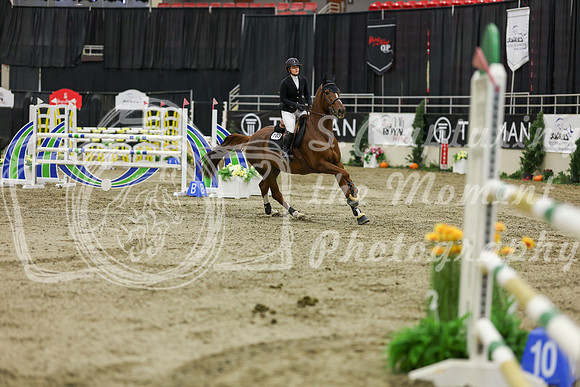 2025 - Shea - Royal West - Saturday October 25th - 07063