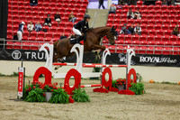 2025 - Shea - Royal West - Saturday October 25th - 07074
