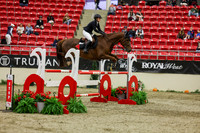 2025 - Shea - Royal West - Saturday October 25th - 07078