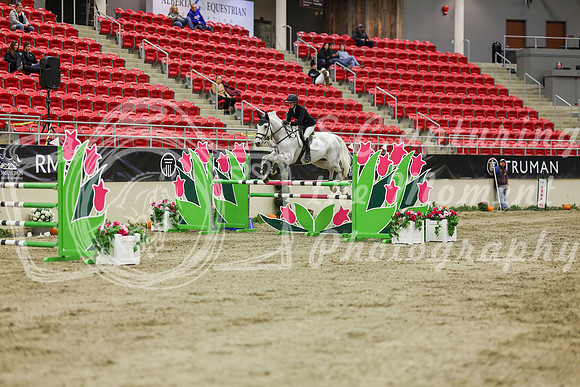 2025 - Shea - Royal West - Saturday October 25th - 06615
