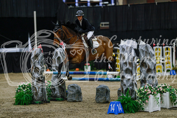 2025 - Haylee - Royal West - Saturday October 25th - 03814_1
