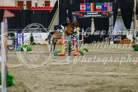 2025 - Haylee - Royal West - Saturday October 25th - 03815_1