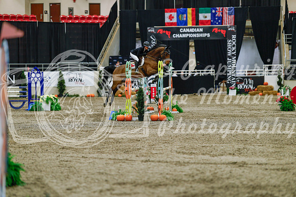 2025 - Haylee - Royal West - Saturday October 25th - 03817_1