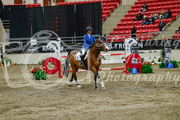 2025 - Haylee - Royal West - Saturday October 25th - 04571_1