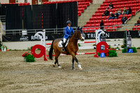 2025 - Haylee - Royal West - Saturday October 25th - 04572_1