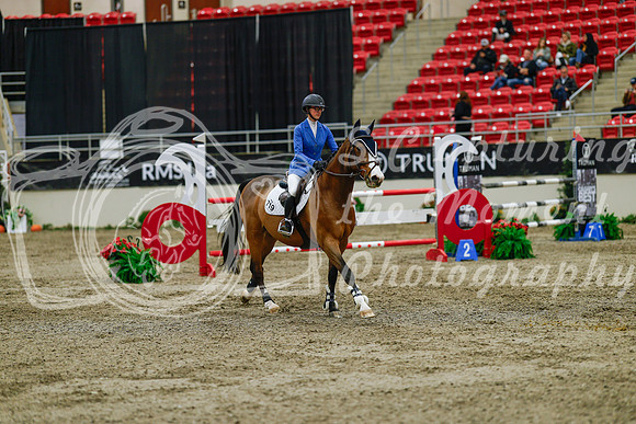 2025 - Haylee - Royal West - Saturday October 25th - 04572_1