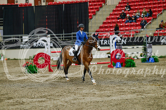2025 - Haylee - Royal West - Saturday October 25th - 04574_1