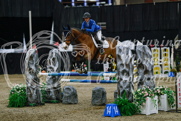 2025 - Haylee - Royal West - Saturday October 25th - 04584_1