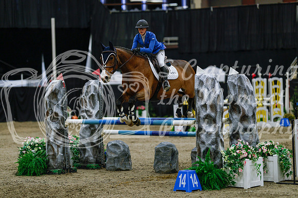 2025 - Haylee - Royal West - Saturday October 25th - 04585_1