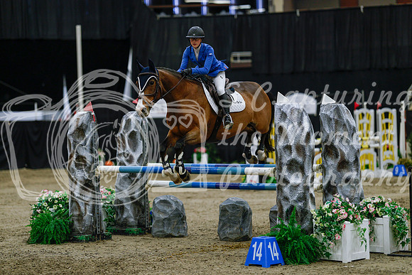 2025 - Haylee - Royal West - Saturday October 25th - 04586_1
