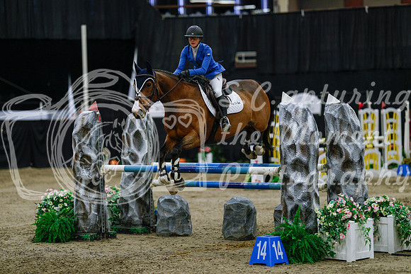 2025 - Haylee - Royal West - Saturday October 25th - 04587_1