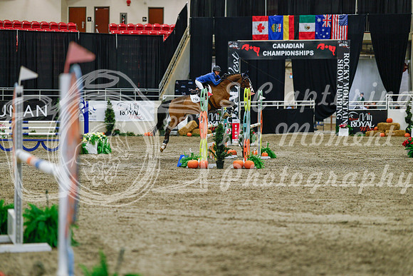 2025 - Haylee - Royal West - Saturday October 25th - 04589_1
