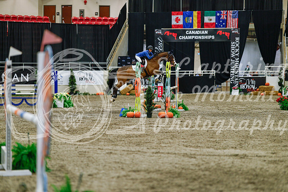 2025 - Haylee - Royal West - Saturday October 25th - 04590_1