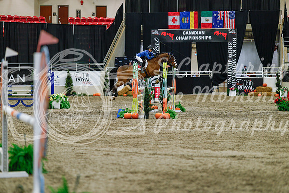 2025 - Haylee - Royal West - Saturday October 25th - 04591_1