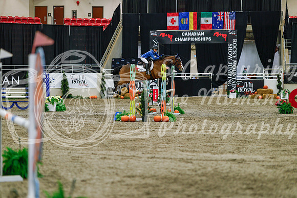 2025 - Haylee - Royal West - Saturday October 25th - 04593_1