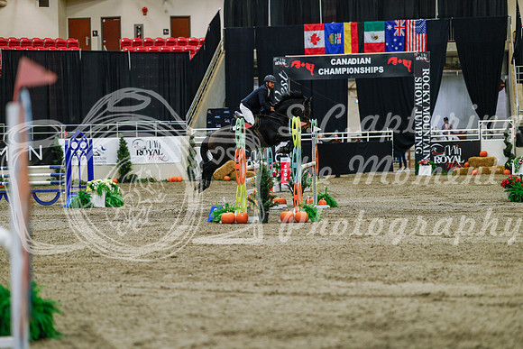 2025 - Haylee - Royal West - Saturday October 25th - 03884_1