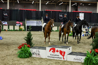 2025 - Shea - Royal West - Saturday October 25th - 07791