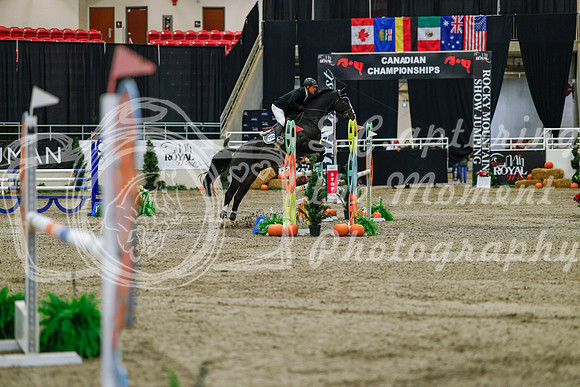 2025 - Haylee - Royal West - Saturday October 25th - 03581_1