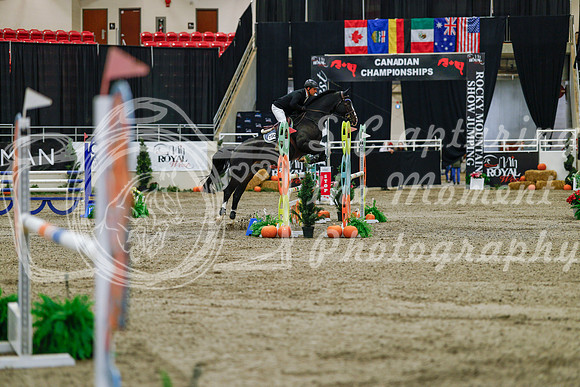2025 - Haylee - Royal West - Saturday October 25th - 03582_1