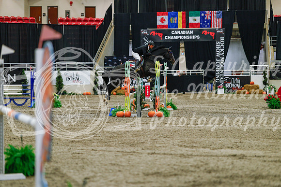 2025 - Haylee - Royal West - Saturday October 25th - 03585_1