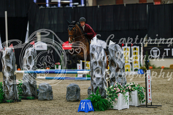 2025 - Haylee - Royal West - Saturday October 25th - 03640_1