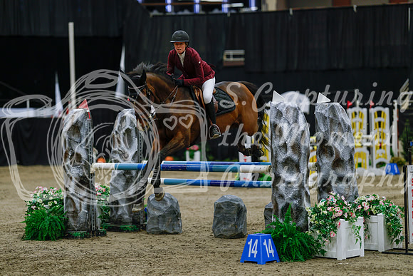 2025 - Haylee - Royal West - Saturday October 25th - 03650_1