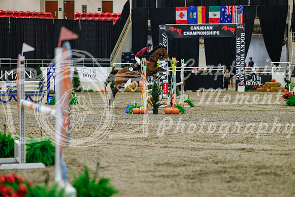 2025 - Haylee - Royal West - Saturday October 25th - 03651_1