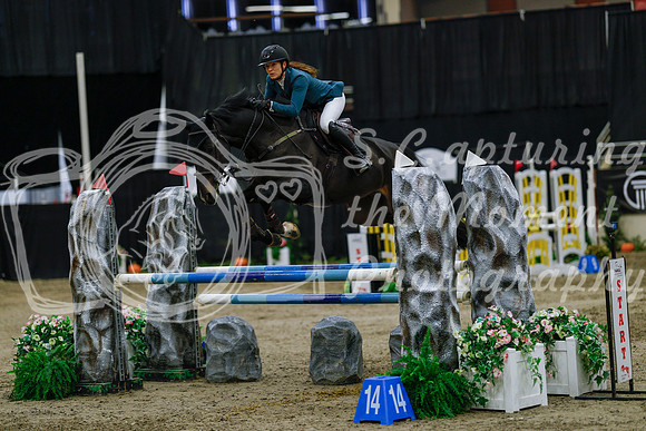 2025 - Haylee - Royal West - Saturday October 25th - 04319_1
