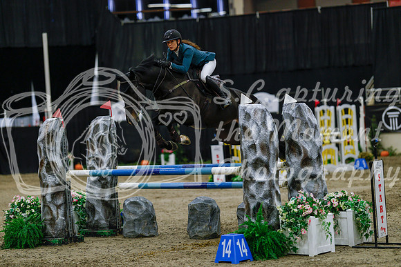2025 - Haylee - Royal West - Saturday October 25th - 04318_1