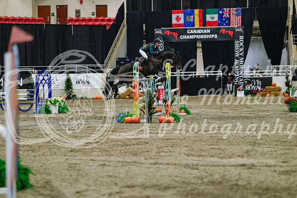 2025 - Haylee - Royal West - Saturday October 25th - 04325_1