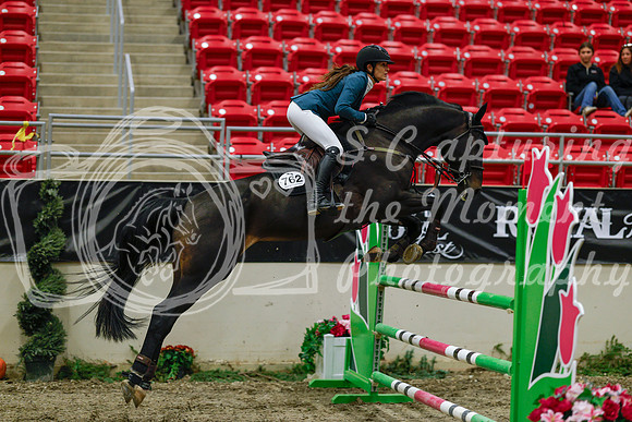 2025 - Haylee - Royal West - Saturday October 25th - 04343_1