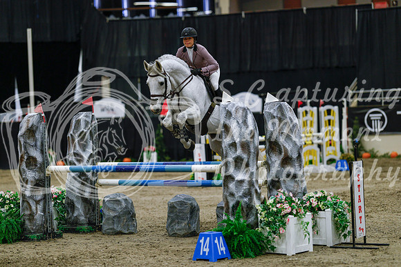 2025 - Haylee - Royal West - Saturday October 25th - 03951_1
