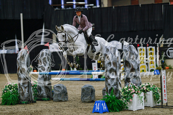 2025 - Haylee - Royal West - Saturday October 25th - 03956_1