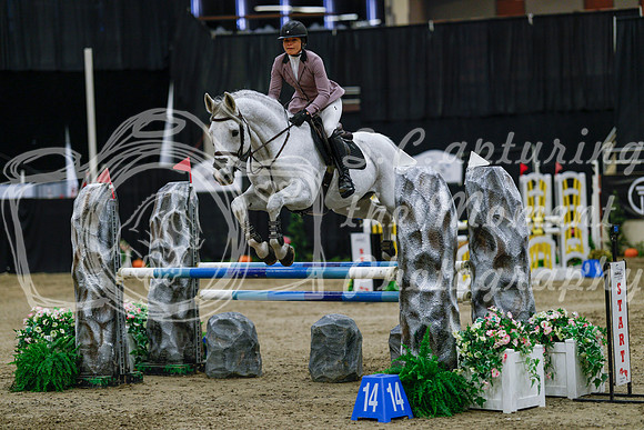 2025 - Haylee - Royal West - Saturday October 25th - 03957_1
