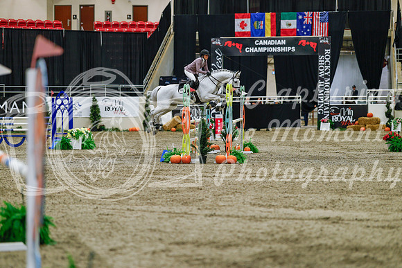 2025 - Haylee - Royal West - Saturday October 25th - 03964_1