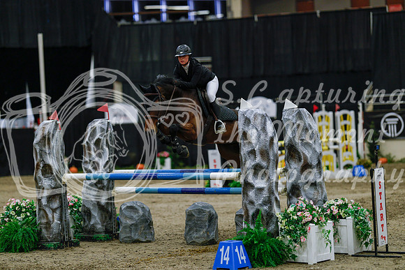 2025 - Haylee - Royal West - Saturday October 25th - 04640_1