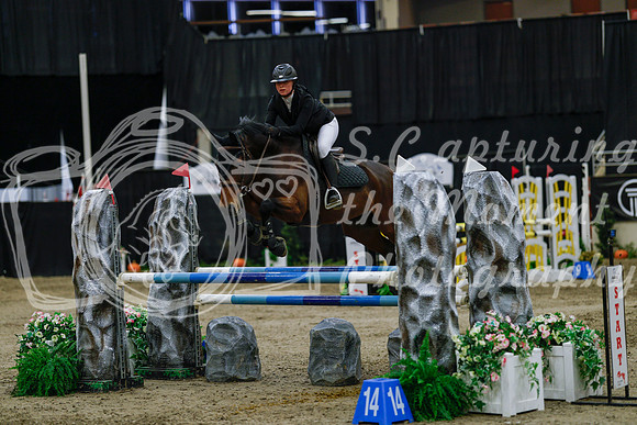 2025 - Haylee - Royal West - Saturday October 25th - 04642_1