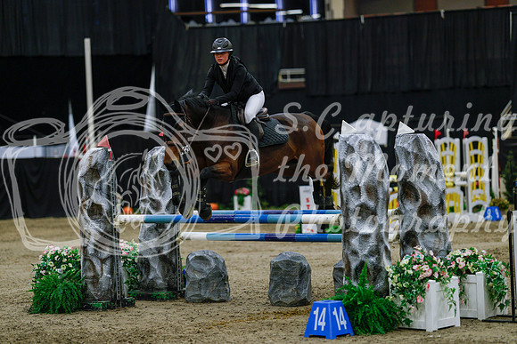 2025 - Haylee - Royal West - Saturday October 25th - 04645_1