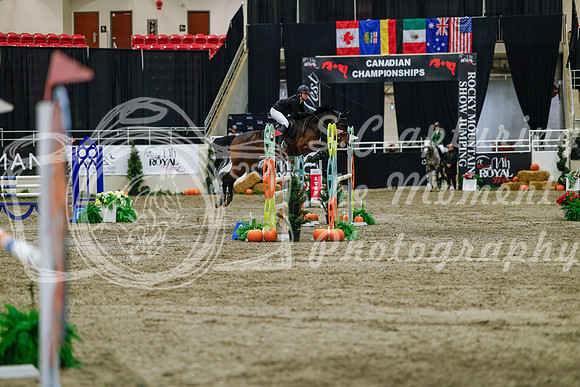 2025 - Haylee - Royal West - Saturday October 25th - 04646_1