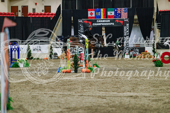 2025 - Haylee - Royal West - Saturday October 25th - 04652_1