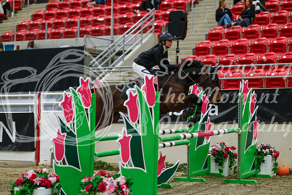 2025 - Haylee - Royal West - Saturday October 25th - 04658_1