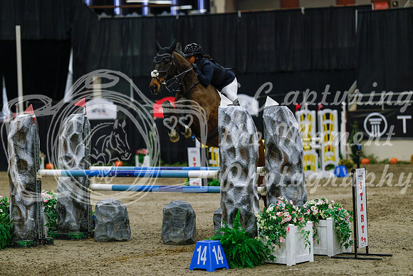 2025 - Haylee - Royal West - Saturday October 25th - 04445_1