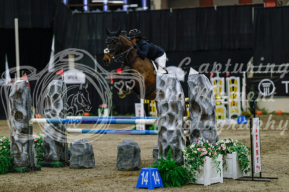2025 - Haylee - Royal West - Saturday October 25th - 04446_1
