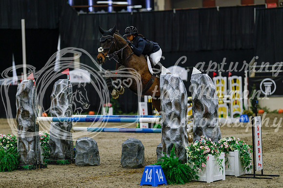 2025 - Haylee - Royal West - Saturday October 25th - 04448_1