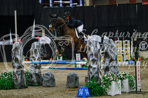 2025 - Haylee - Royal West - Saturday October 25th - 04450_1