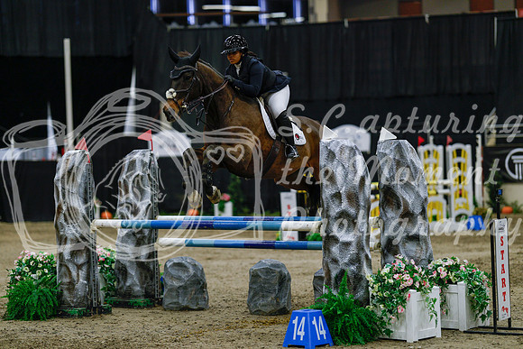2025 - Haylee - Royal West - Saturday October 25th - 04452_1