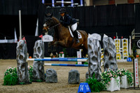 2025 - Haylee - Royal West - Saturday October 25th - 04453_1