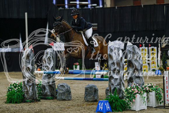 2025 - Haylee - Royal West - Saturday October 25th - 04454_1