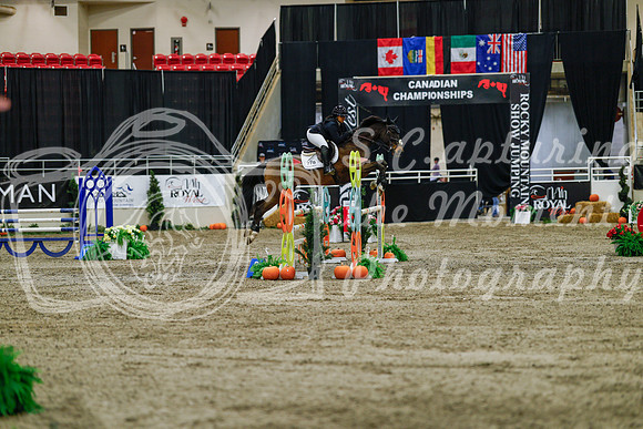 2025 - Haylee - Royal West - Saturday October 25th - 04459_1