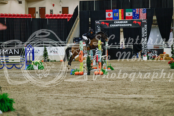 2025 - Haylee - Royal West - Saturday October 25th - 04457_1